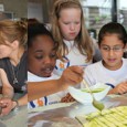 Anna Loos Sanguinum Kinder abnehmen