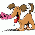 Der innere Schweinehund beim Abnehmen und Sport